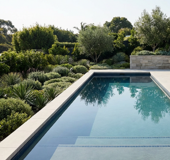 Pool concept with a crisp rectangular layout, pale coping, and calm waterline detail